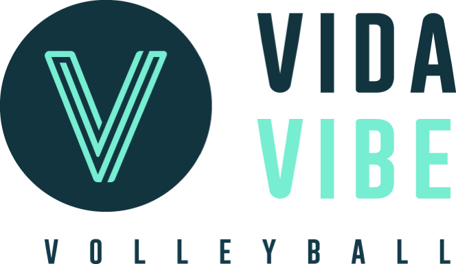VidaVibe